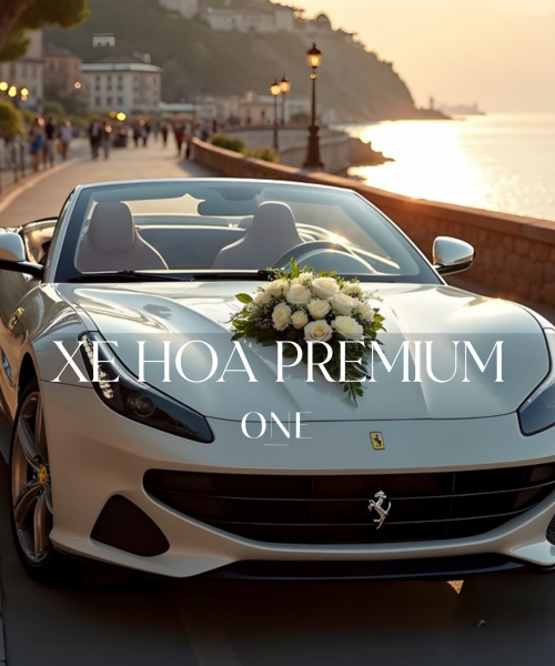 Xe Hoa Premium